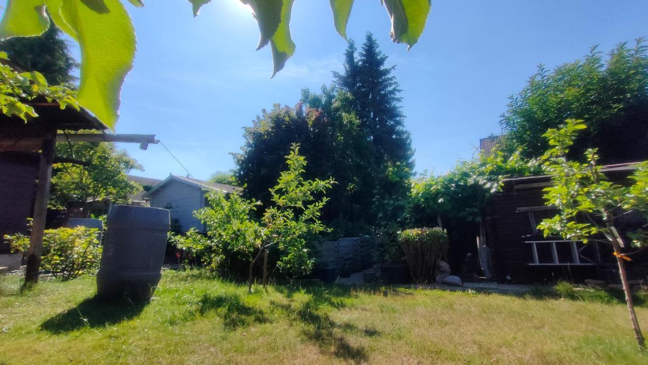 Jan'S Homestay! #Kassel-Lohfelden Zewnętrze zdjęcie