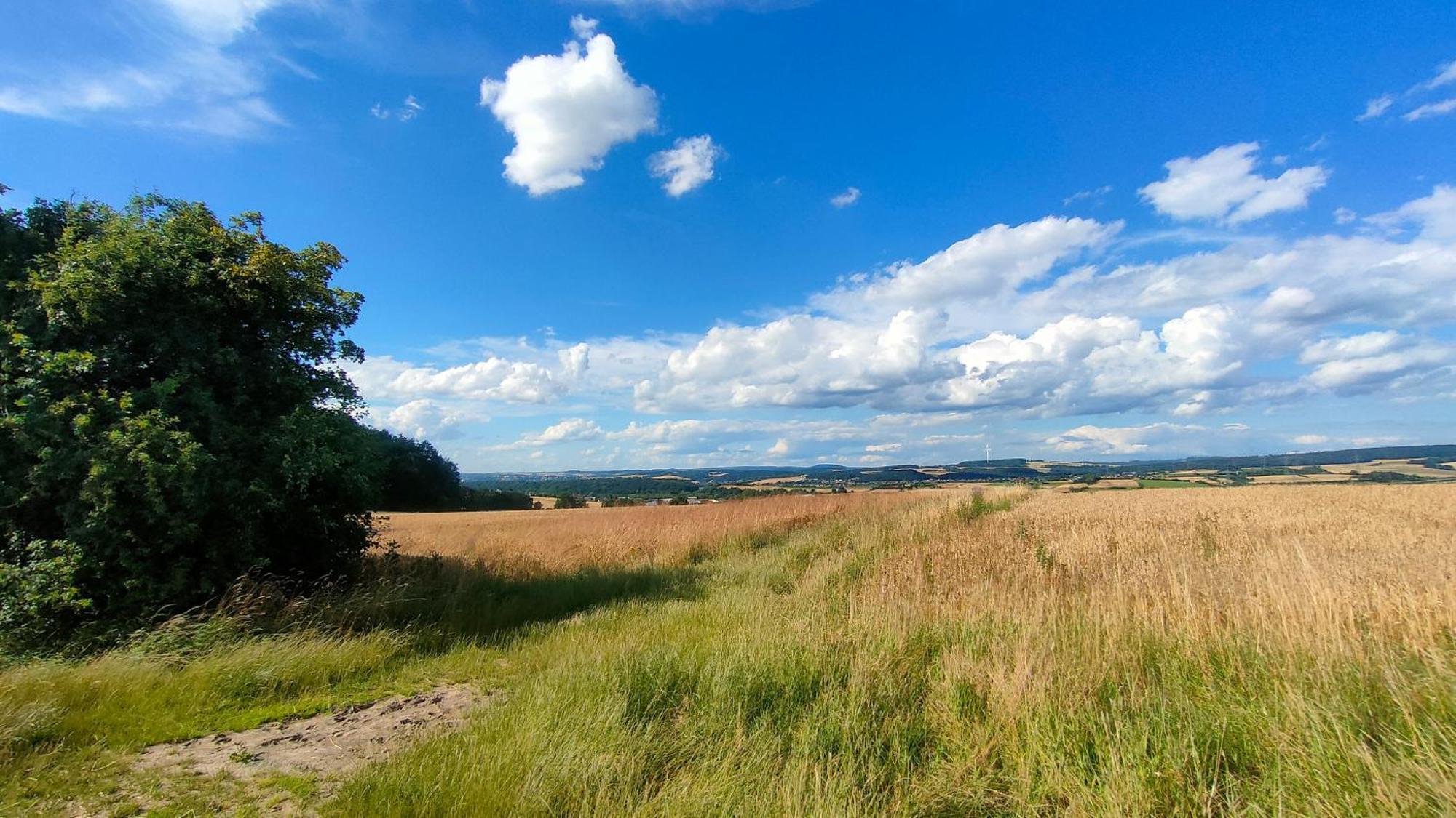 Jan'S Homestay! #Kassel-Lohfelden Zewnętrze zdjęcie
