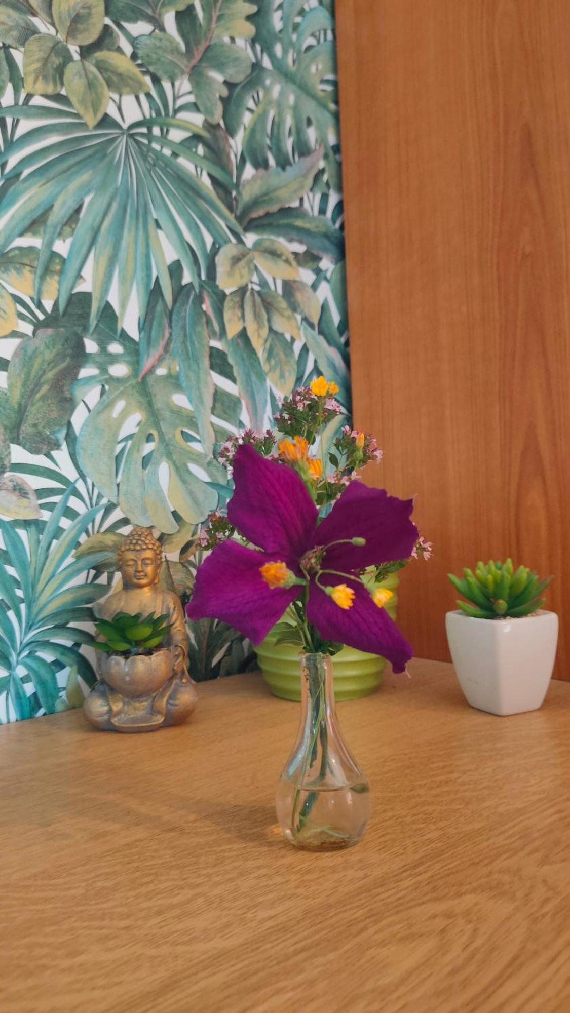 Jan'S Homestay! #Kassel-Lohfelden Pokój zdjęcie