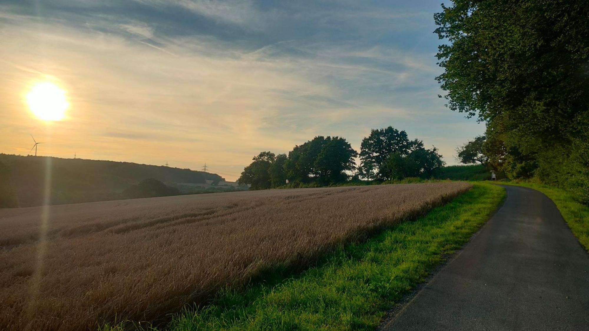 Jan'S Homestay! #Kassel-Lohfelden Zewnętrze zdjęcie